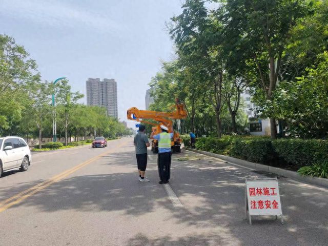 BOB半岛泰安市园林绿化管理服务中心：科学修剪保畅通用心服务促满意(图1)