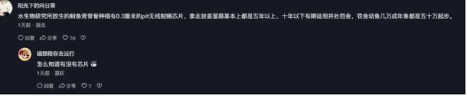 BOB半岛·(中国)官方网站重庆钓友连钓4条中华鲟放生后还回来“咬钩”网友：当心(图7)