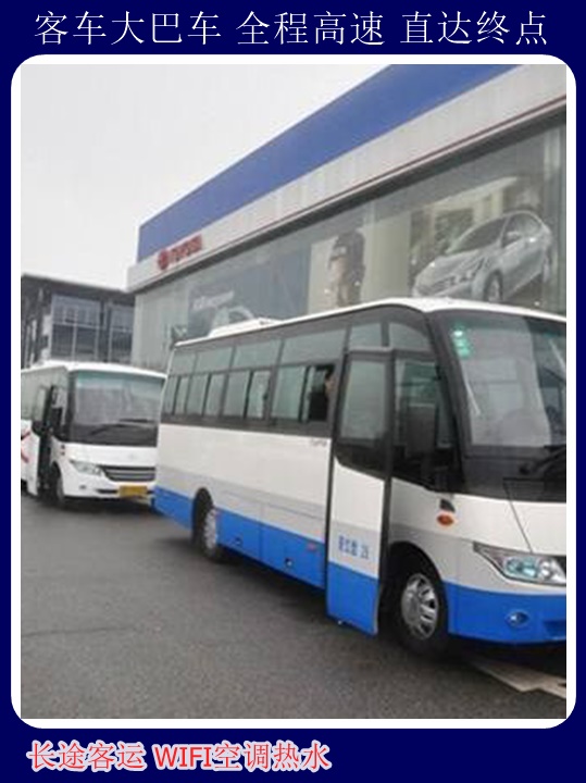 BOB半岛·(中国)官方网站东营到安阳大巴车票价多少钱宠物托运垦利河口提前预约可(图2)
